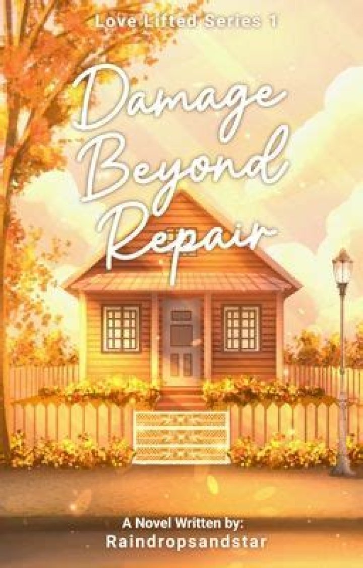 Damage beyond repair