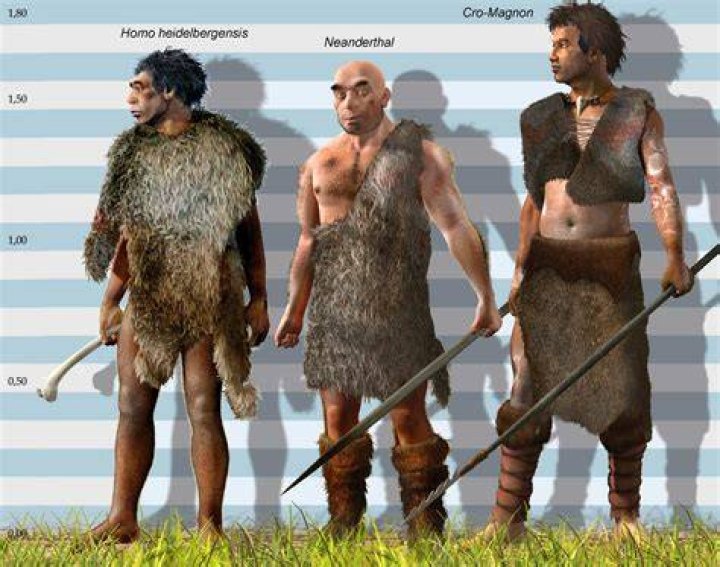___-Magnon (early human)