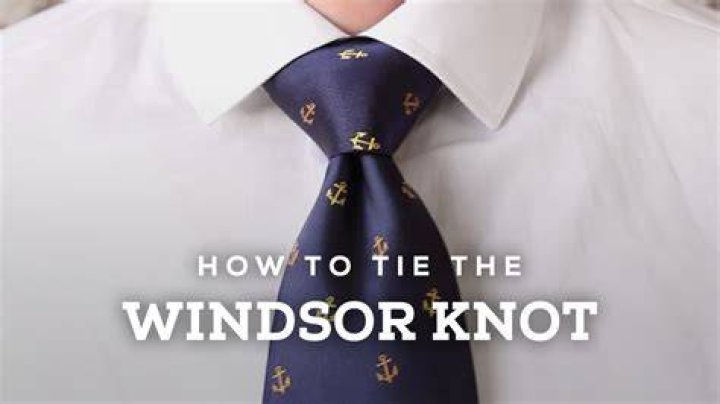 Neckwear that might be in a Windsor knot