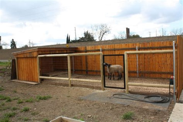 Sheep enclosures