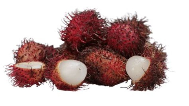 Small fuzzy fruits