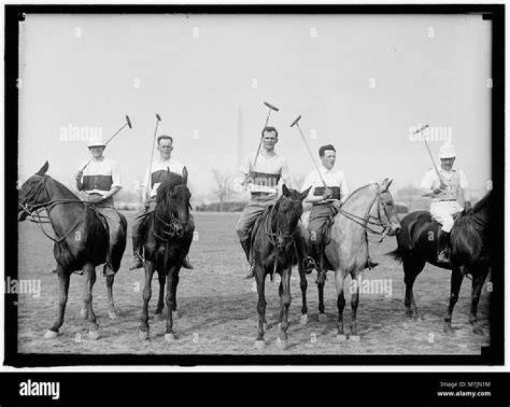 Sport played on horseback using mallets