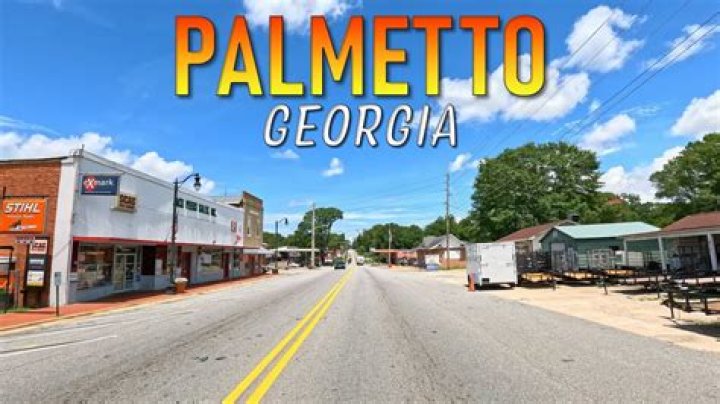 The Palmetto, Georgia's Local Newspaper: Your Source For Community News