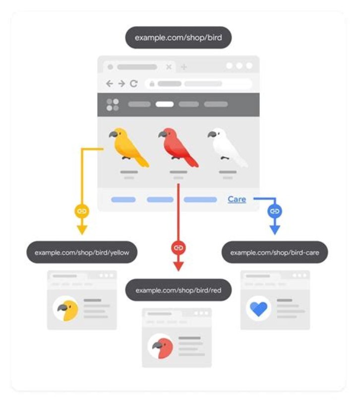 The Unparalleled Expertise Of Peter Wysinski In SEO