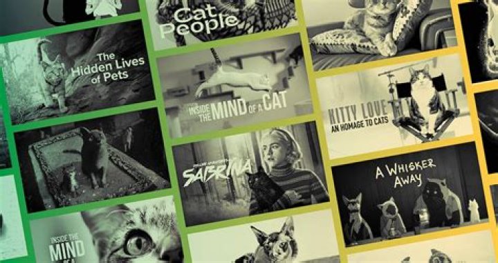 Whiskers On The Screen: The Ultimate Collection Of Cat Movies HD